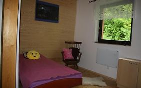 Chata na řece Sázavě